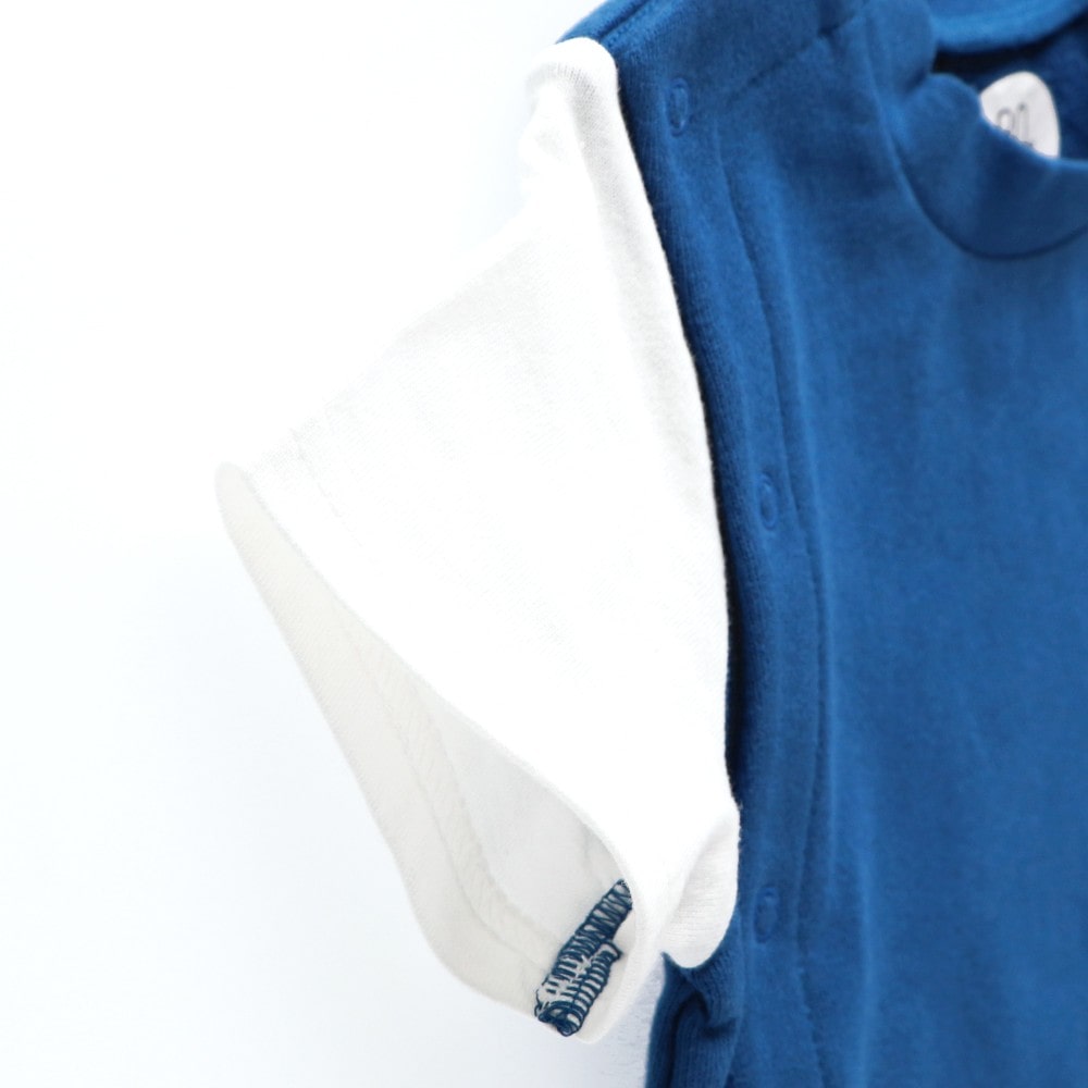 ロイヤルブルー