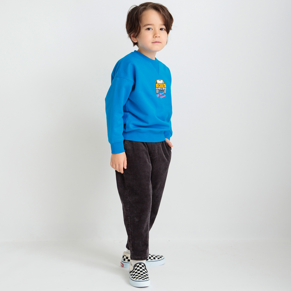 ターコイズブルー