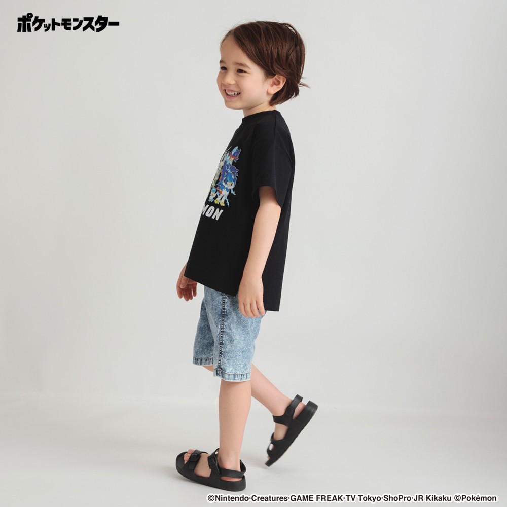 MIX（ブラック）:パルデア御三家進化