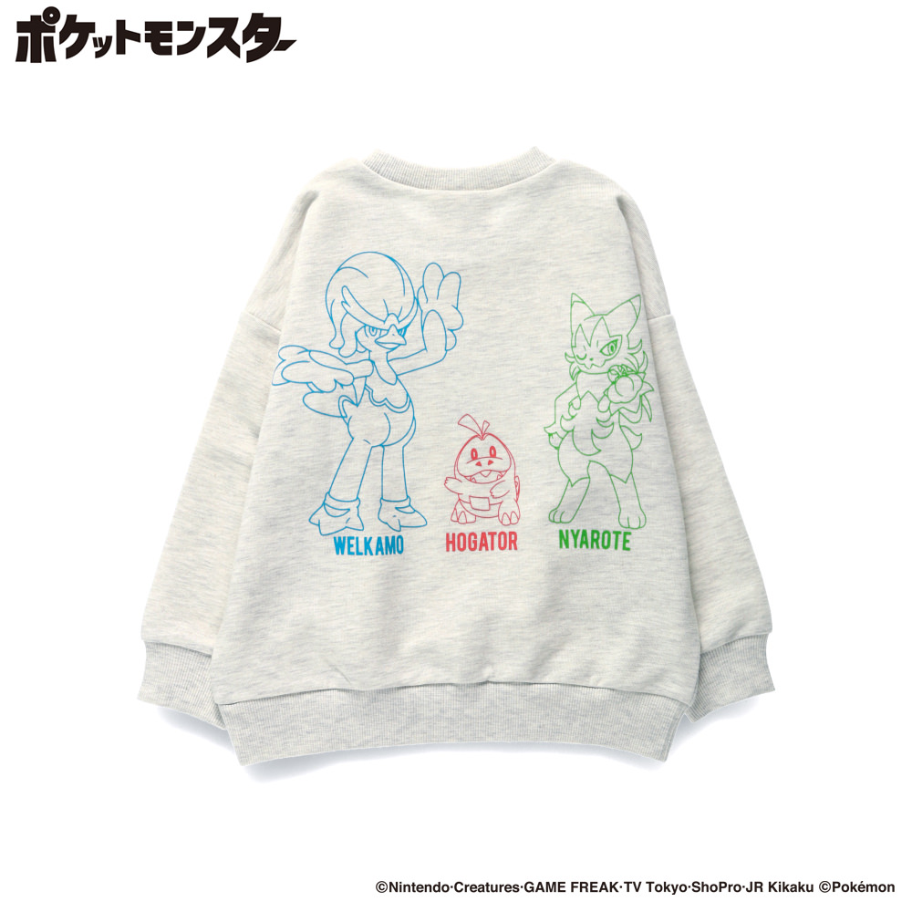 04:パルデア御三家