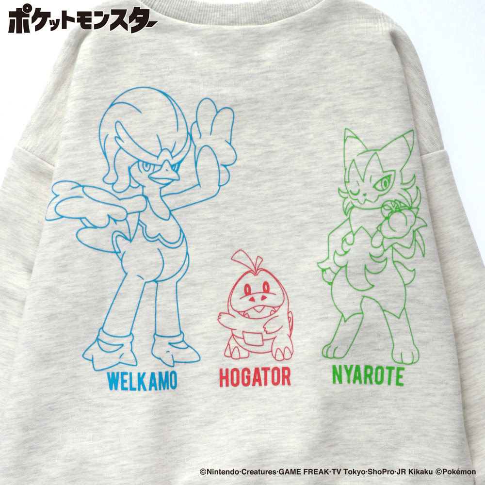 04:パルデア御三家