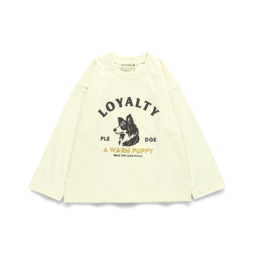 08：ライトベージュA_犬