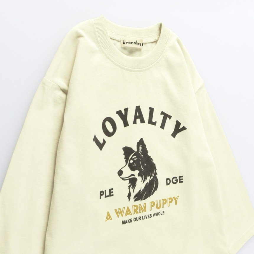 08：ライトベージュA_犬