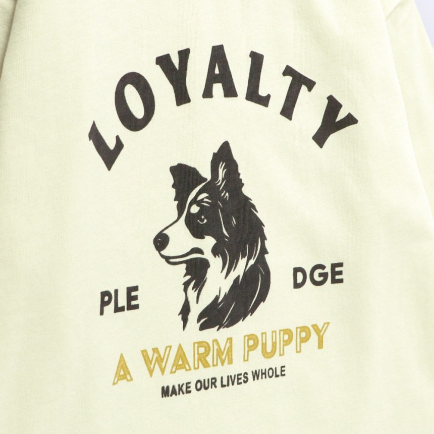 08：ライトベージュA_犬