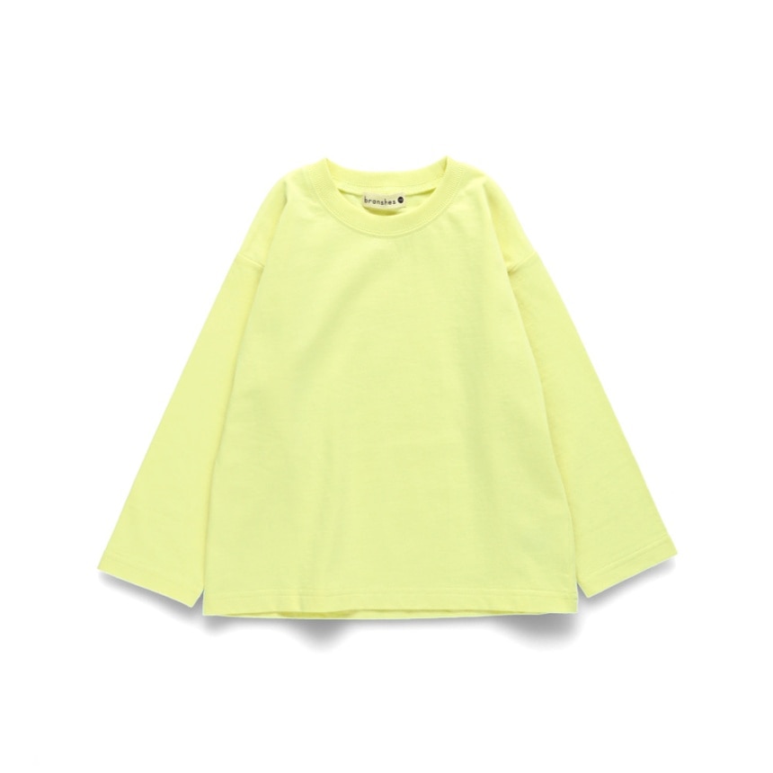 11：クリーム_バックpt犬