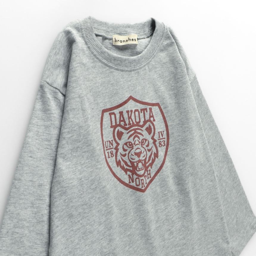 76：杢グレーA_トラ