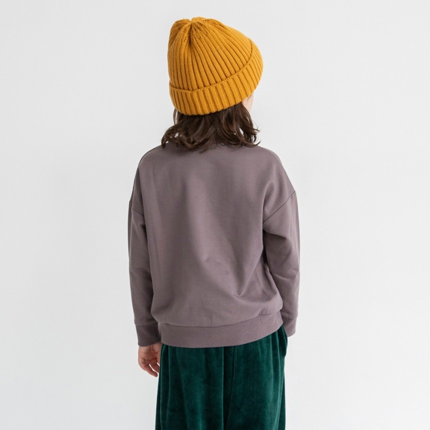 64_ブラウン_ブルドッグ