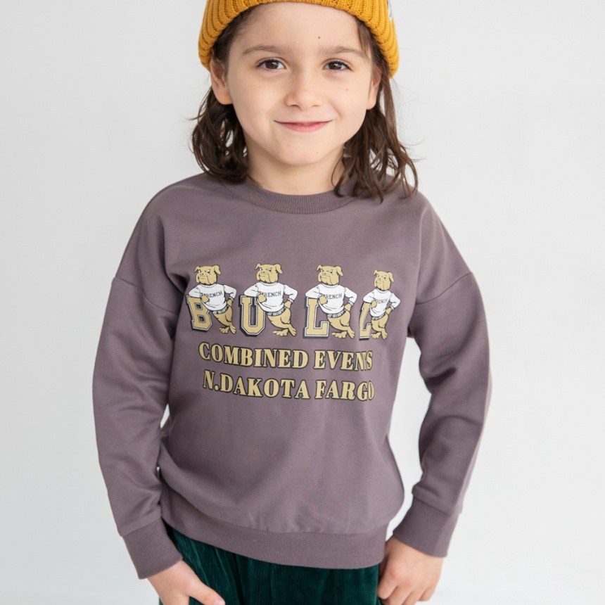 64_ブラウン_ブルドッグ