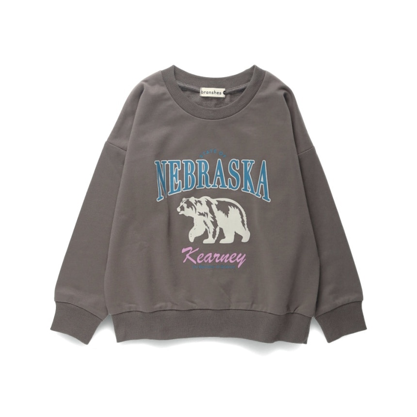 93_ブラウン_クマ