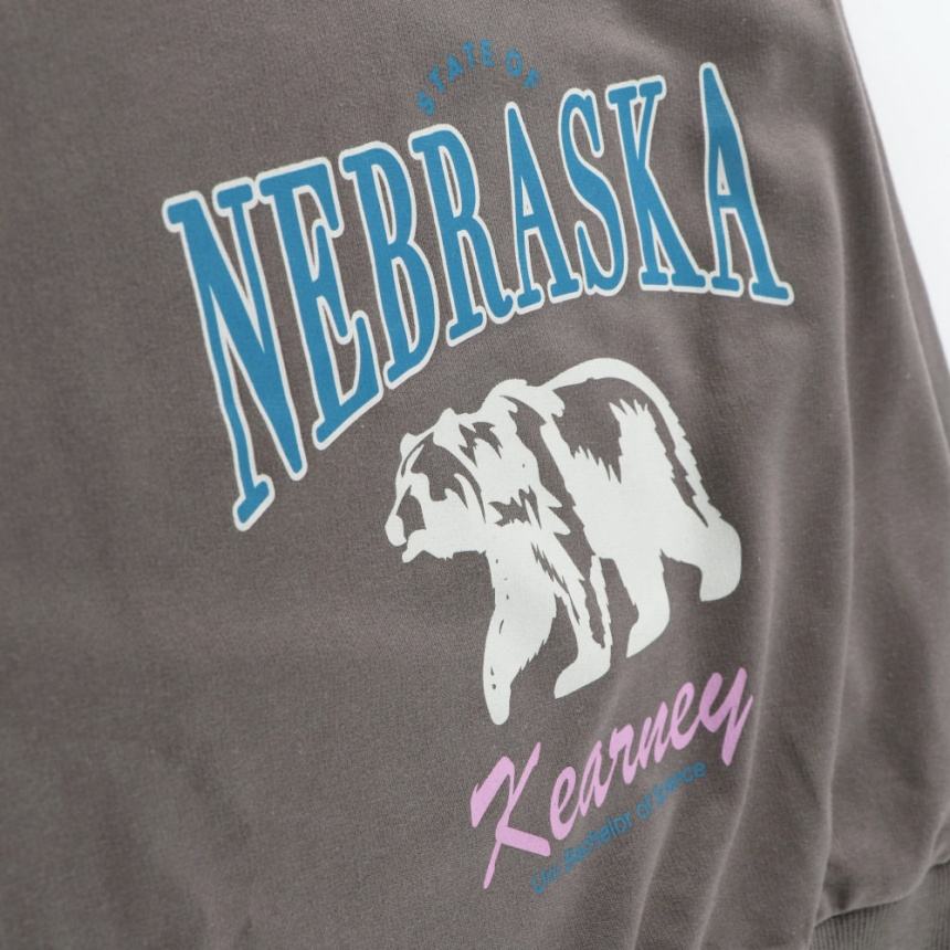 93_ブラウン_クマ