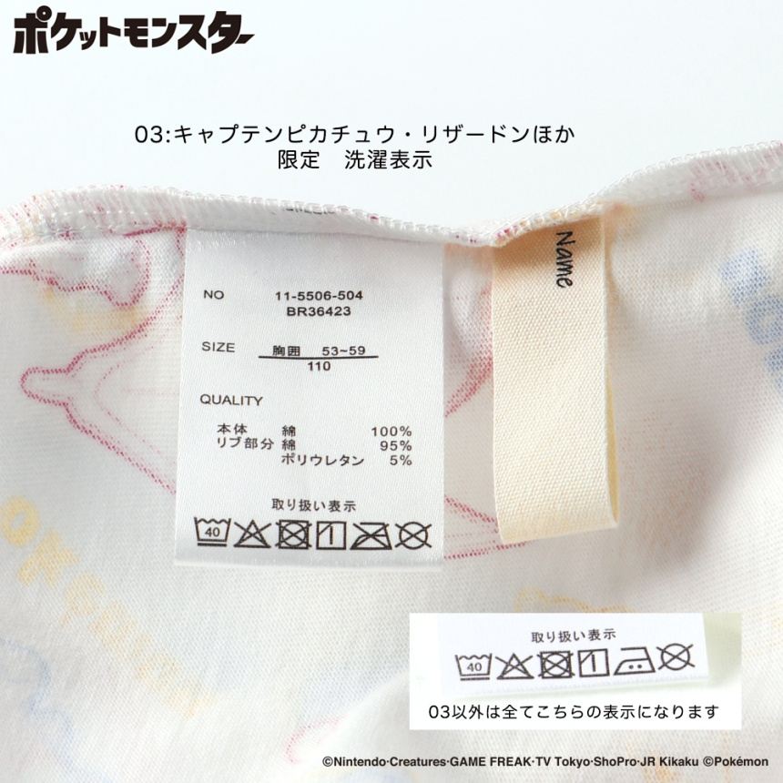 03:キャプテンピカチュウ・リザードンほか