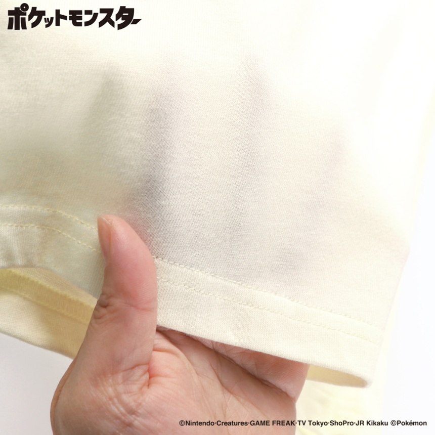 04IV_ピカチュウ他