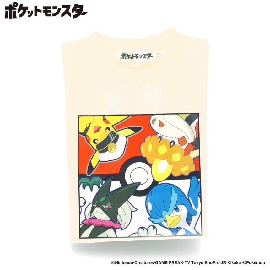 04IV_ピカチュウ他