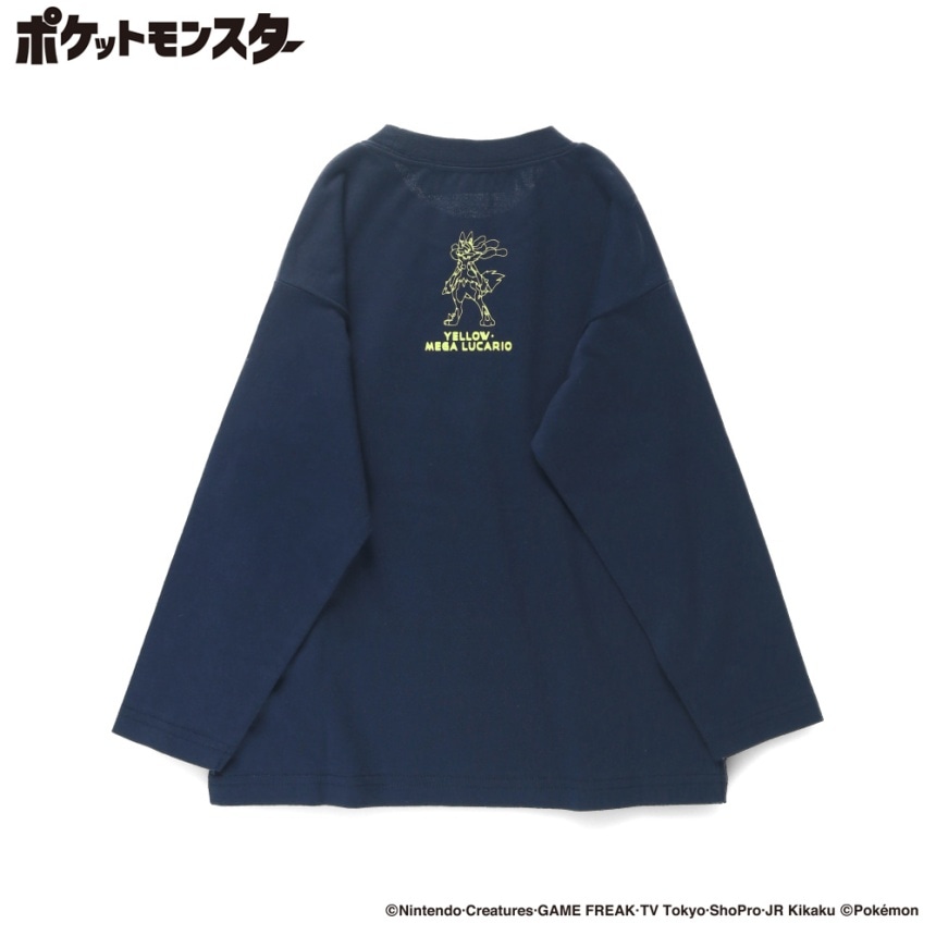 22NB_メガルカリオ