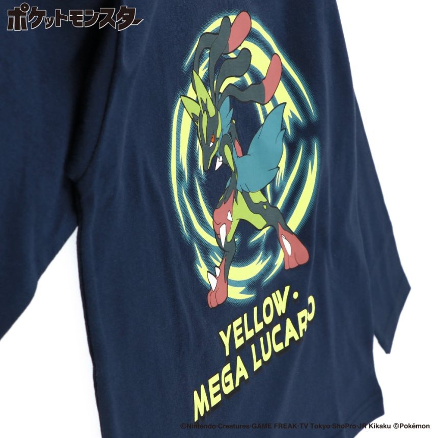 22NB_メガルカリオ