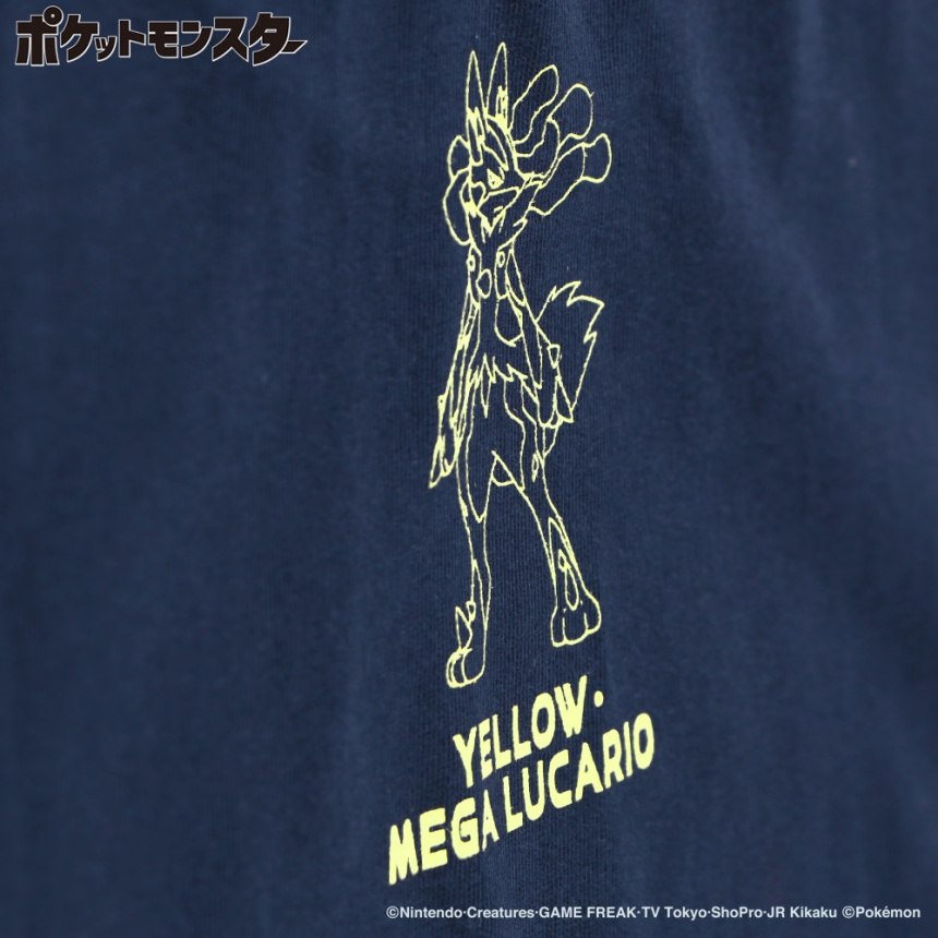 22NB_メガルカリオ