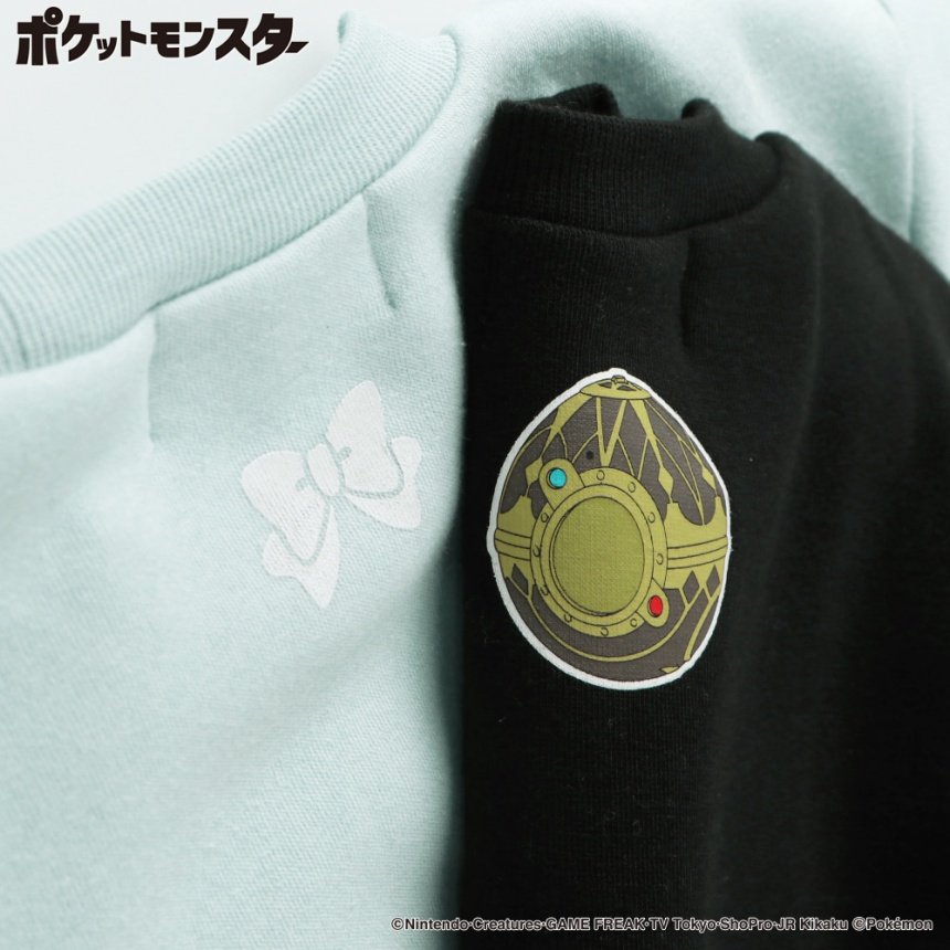 20水色_イーブイ他