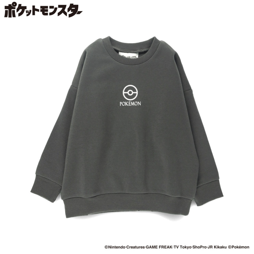 78:グレー_イーブイ