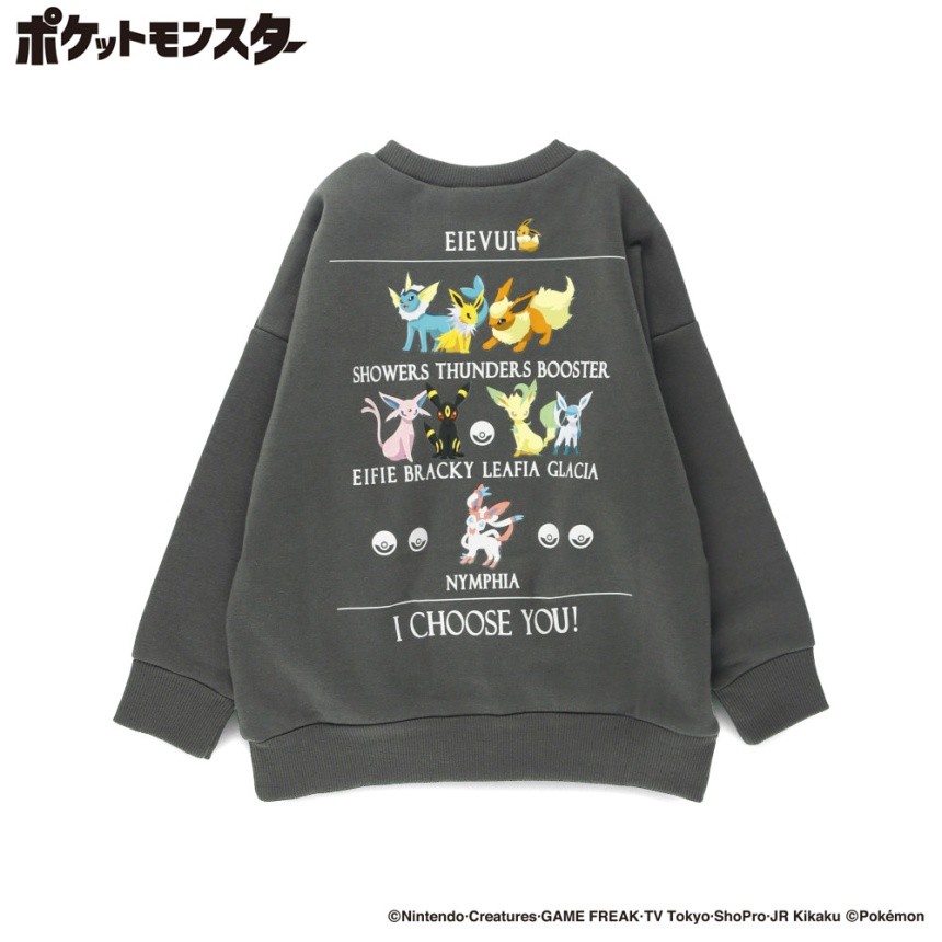 78:グレー_イーブイ