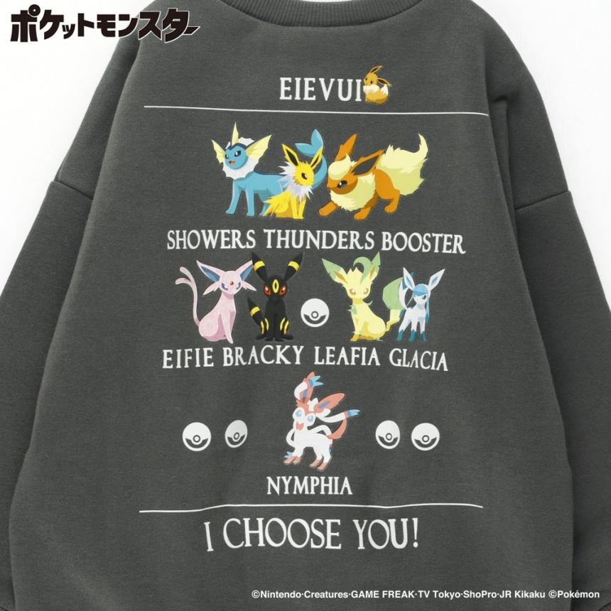 78:グレー_イーブイ