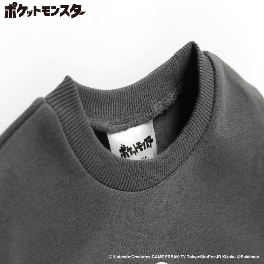 78:グレー_イーブイ