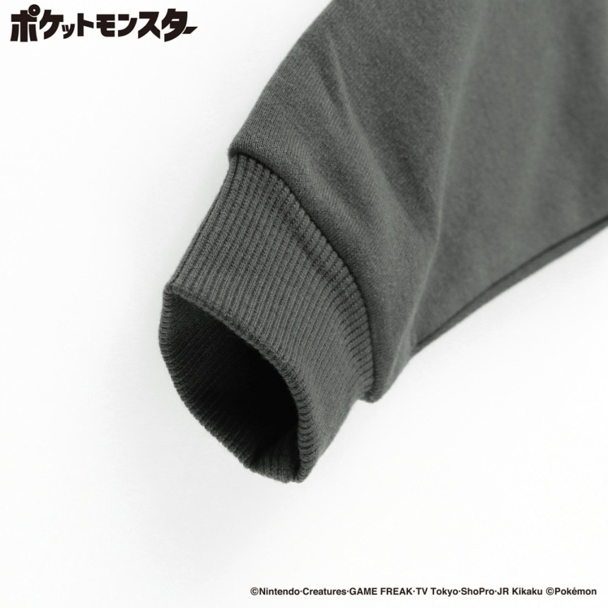 78:グレー_イーブイ