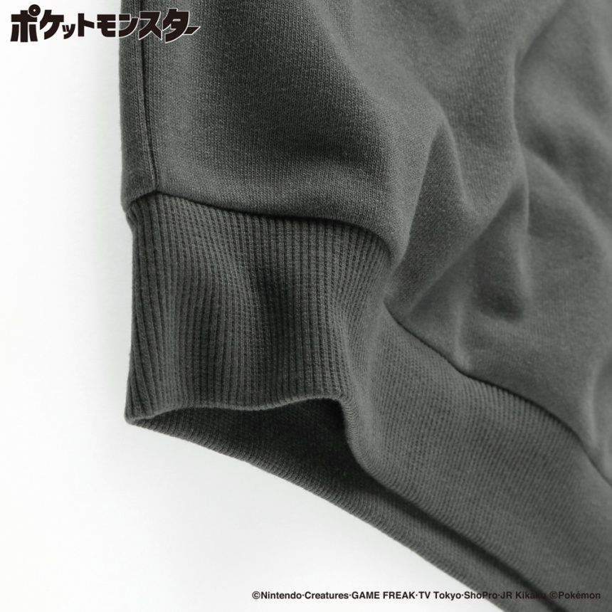 78:グレー_イーブイ