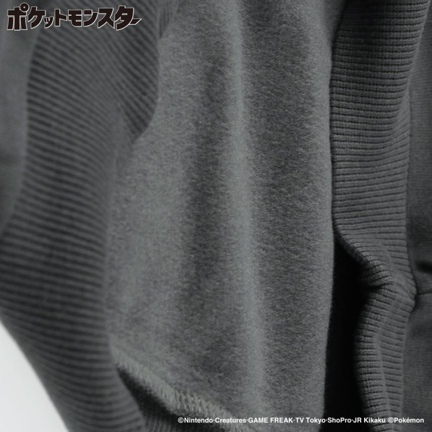 78:グレー_イーブイ