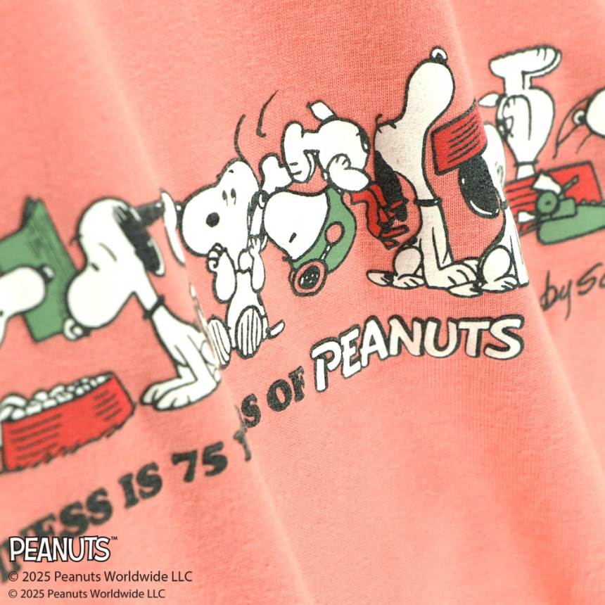 ライトオレンジ