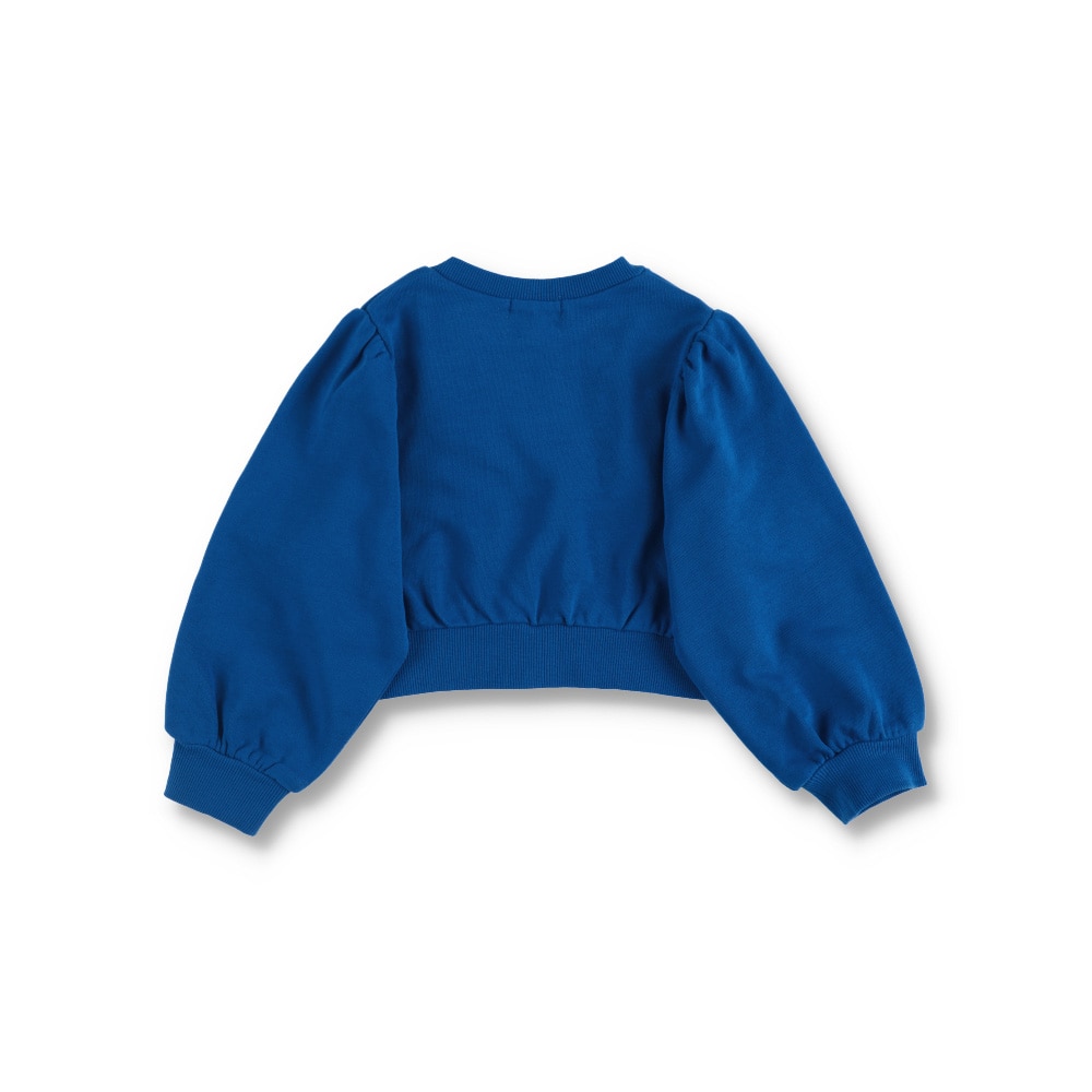 ロイヤルブルー