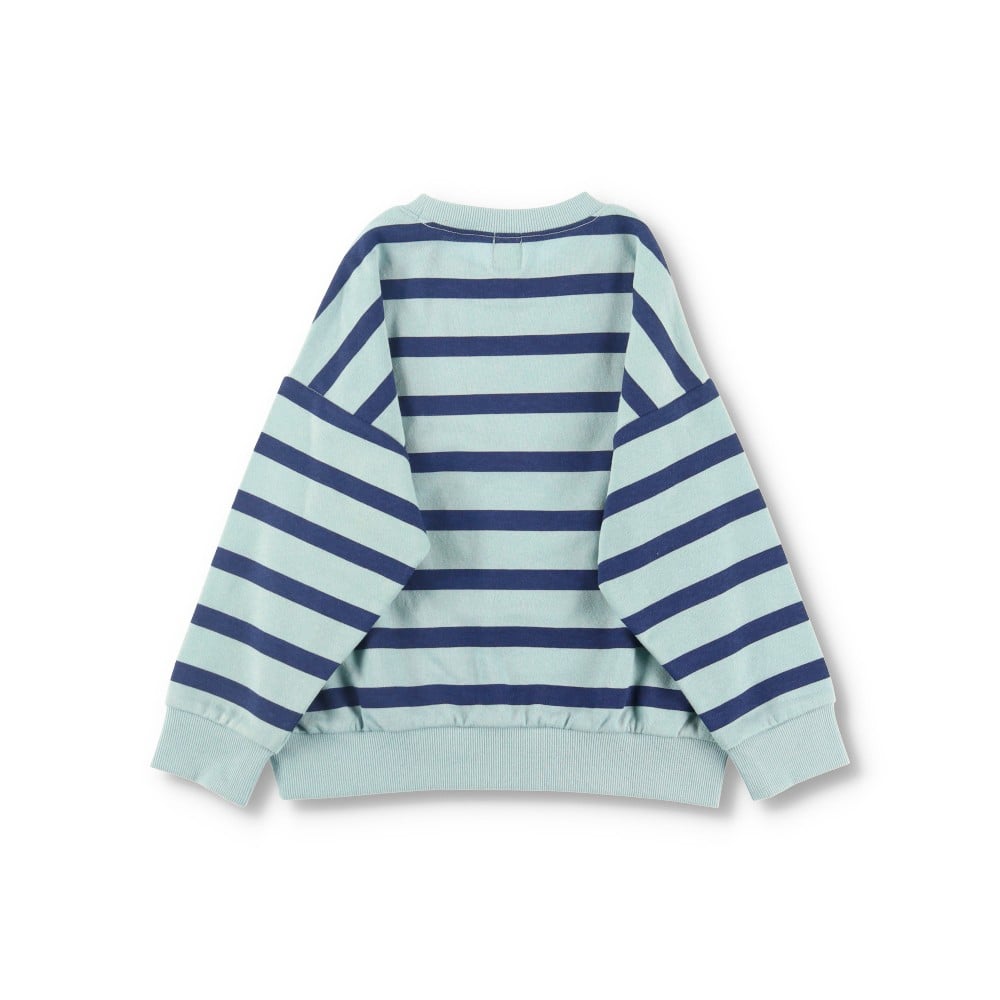 94:ブルーボーダー