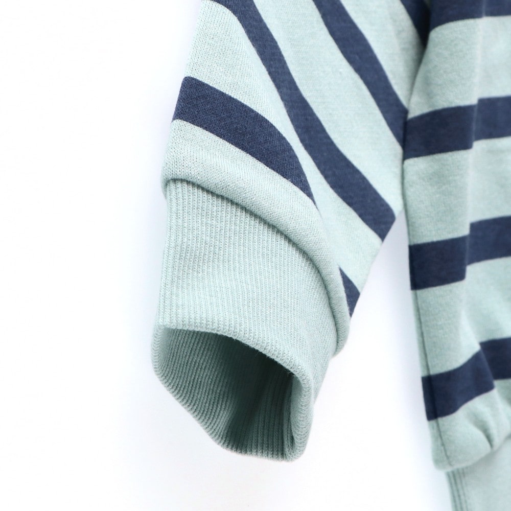 94:ブルーボーダー