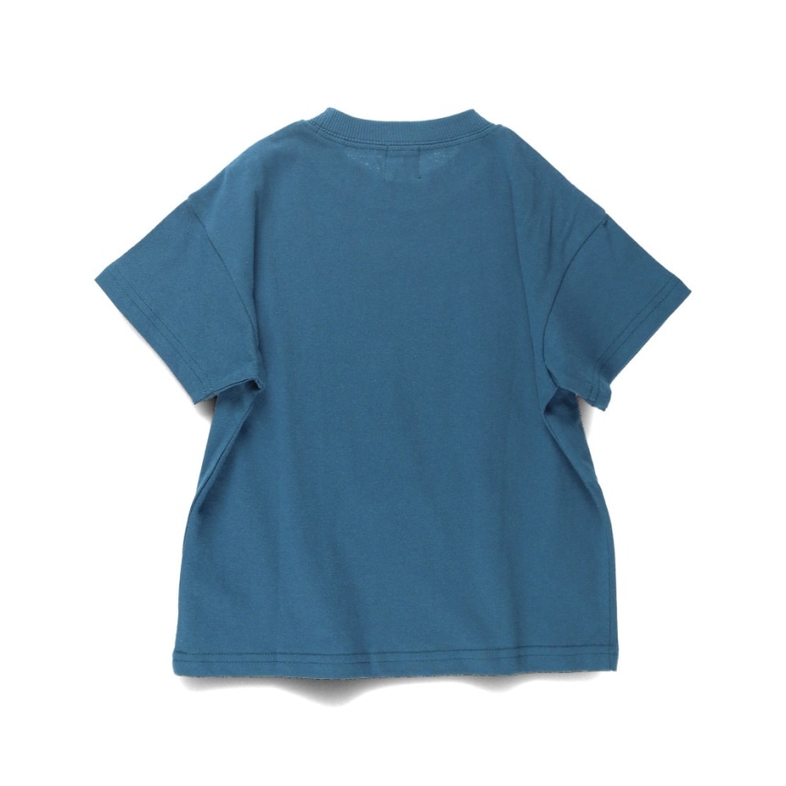 23:ロゴ1-コバルトブルー