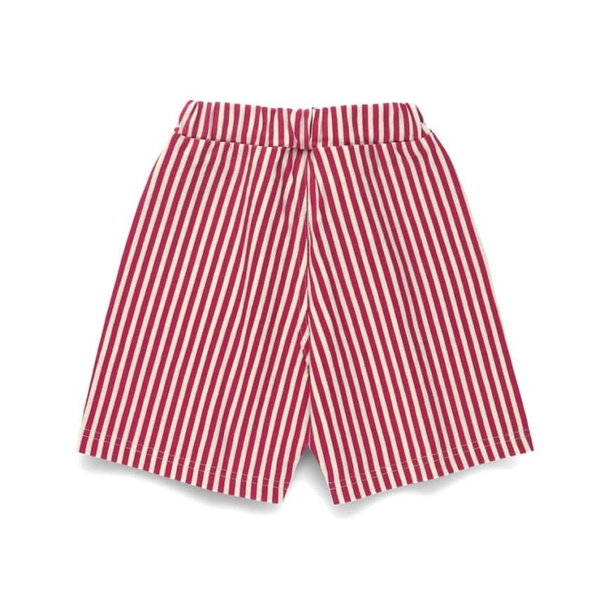 33:ストライプ-エンジ