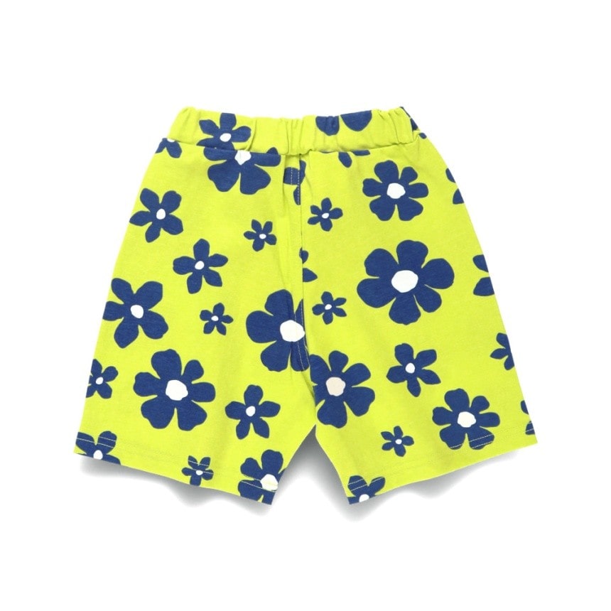 65:フラワー-ライム