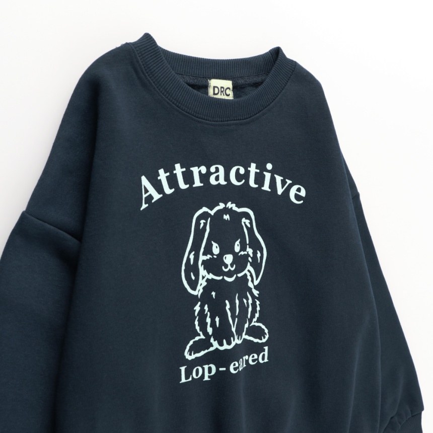 22_ネイビー_ウサギ