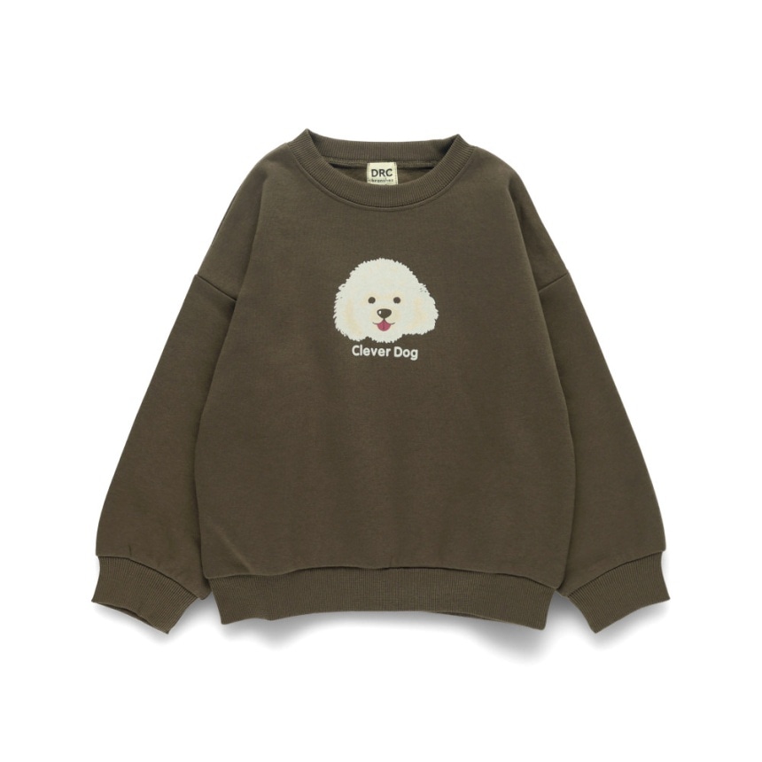 64_ブラウン_プードル