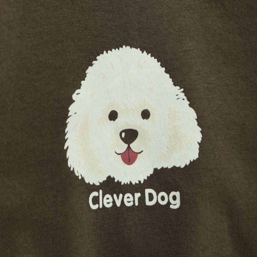 64_ブラウン_プードル