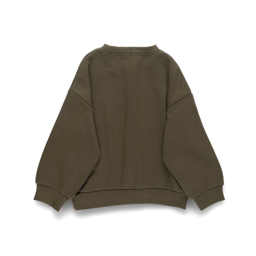 64_ブラウン_プードル