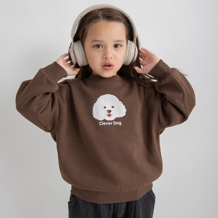 64_ブラウン_プードル