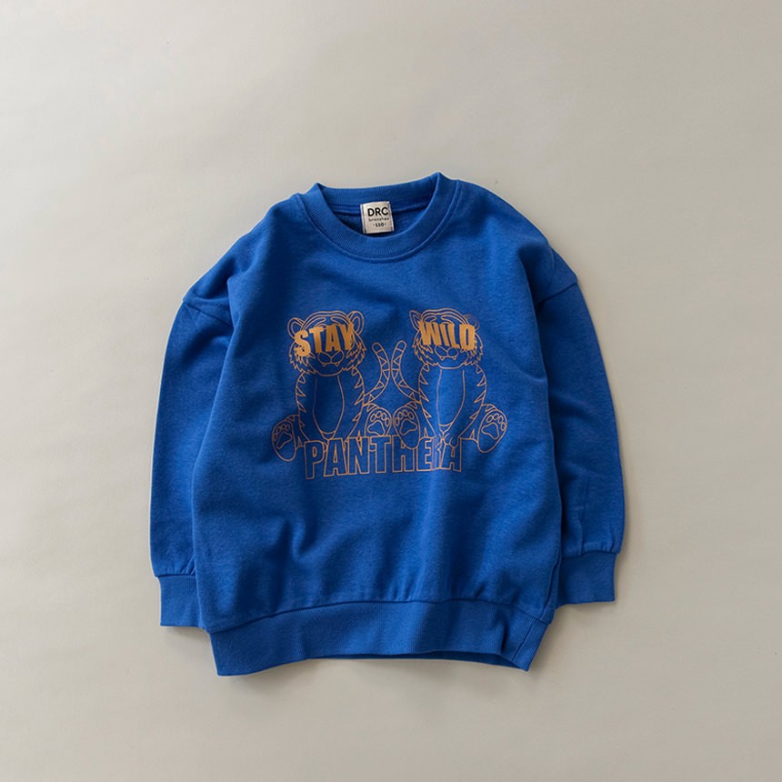 25_ロイヤルブルー