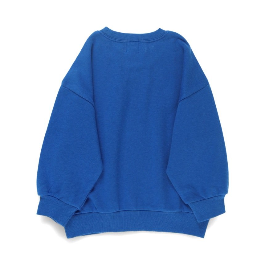 25_ロイヤルブルー