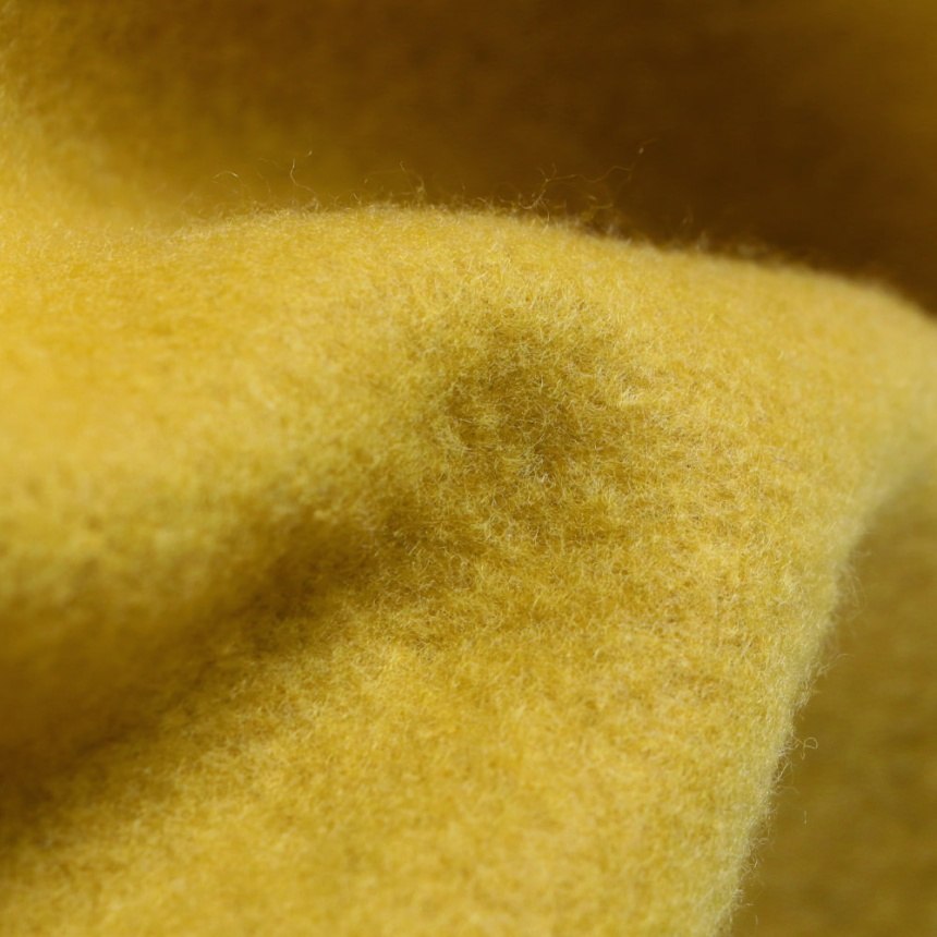 13_カラシ_クマロゴ