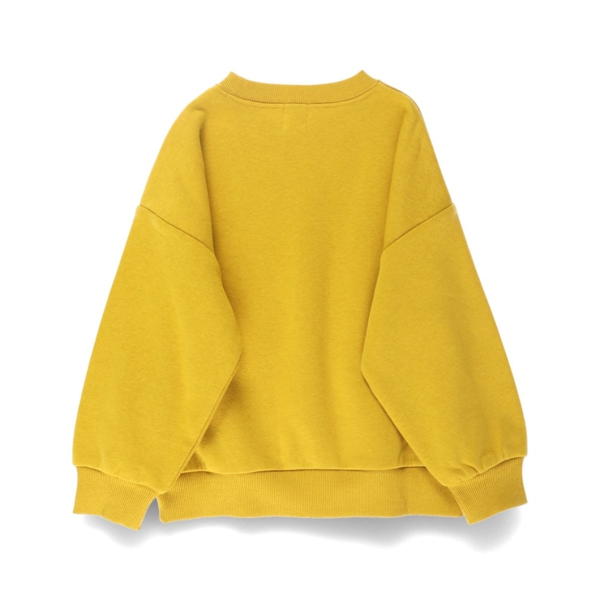 13_カラシ_クマロゴ