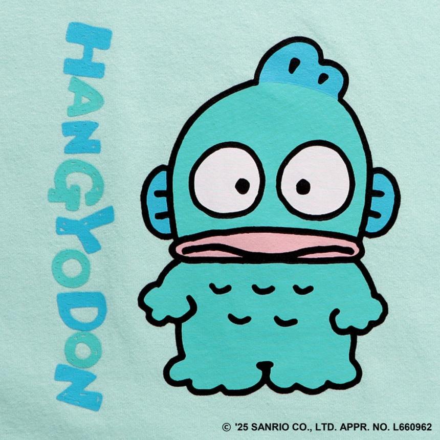 70：ハンギョドン