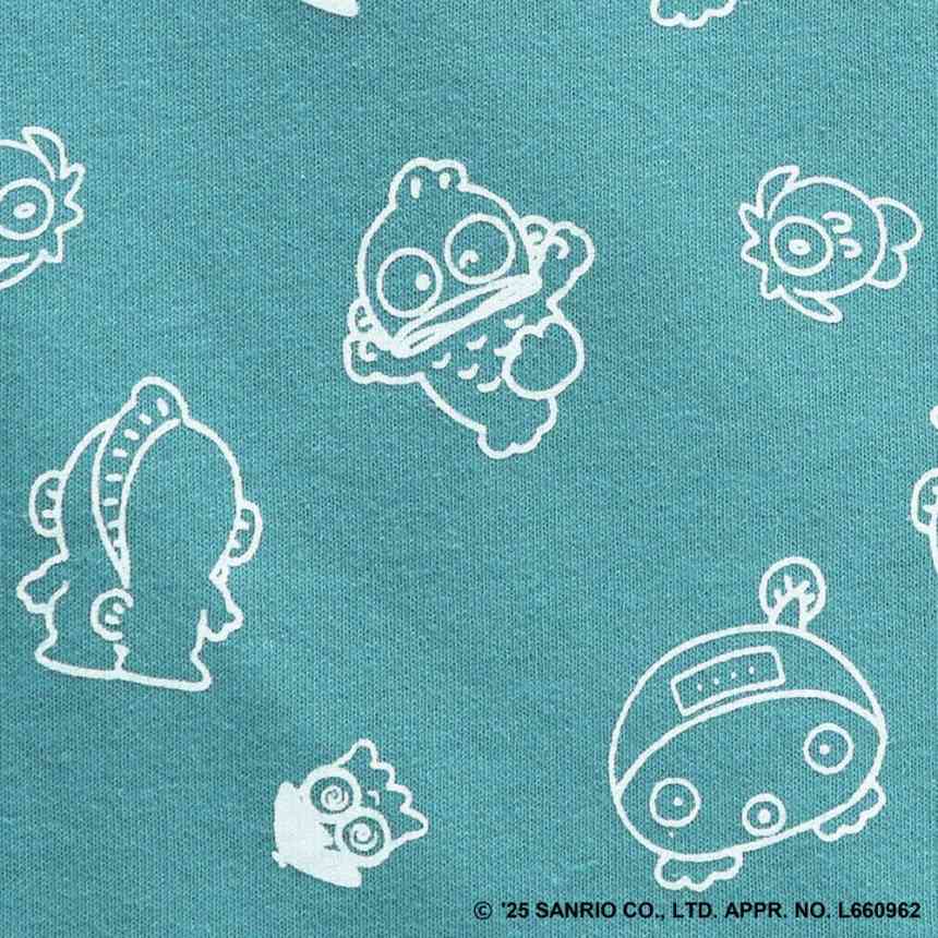 70：ハンギョドン