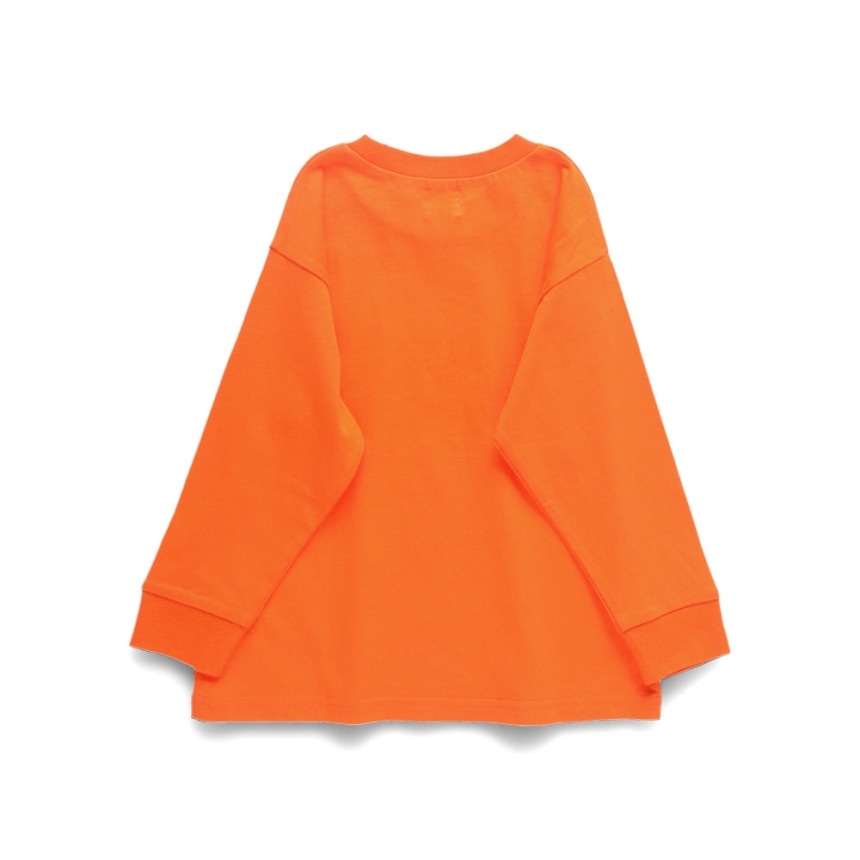 35_オレンジ_うさぎ