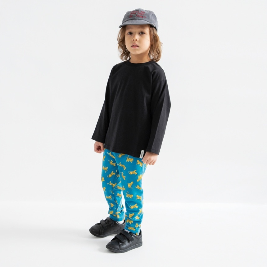 91_ターコイズB_トラ