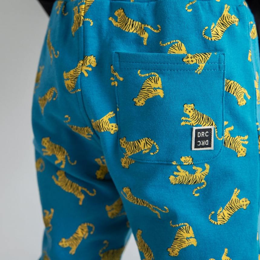 91_ターコイズB_トラ