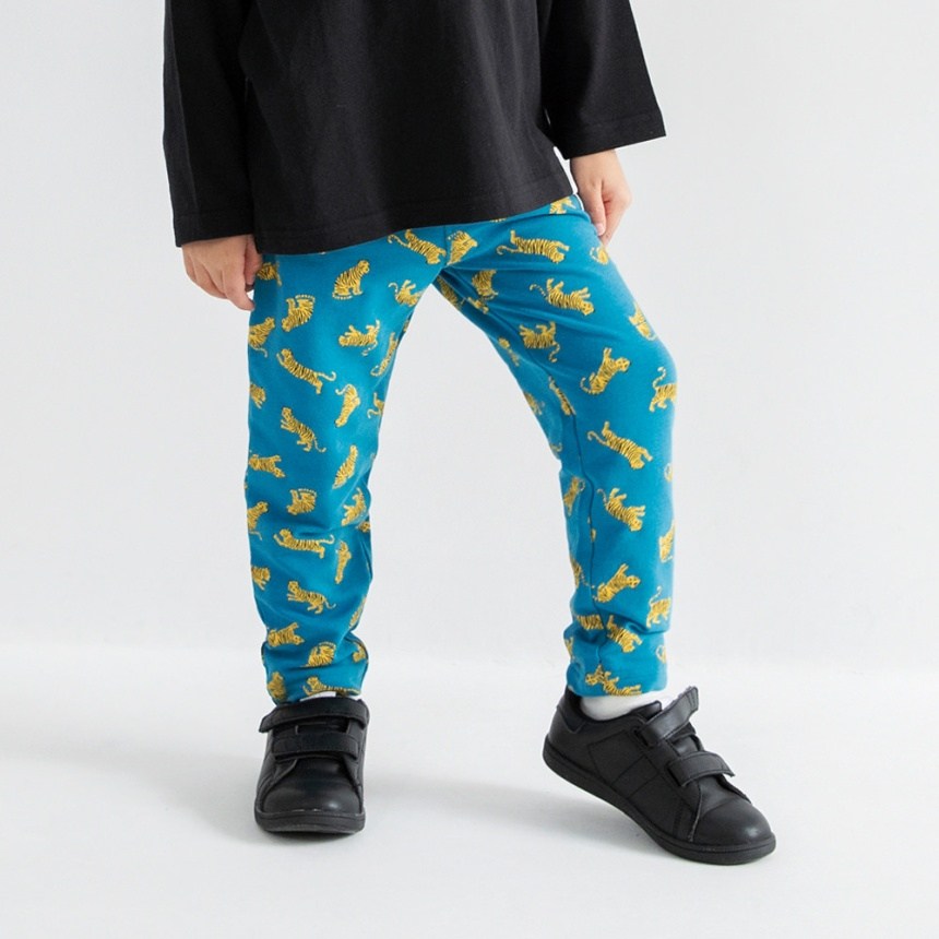 91_ターコイズB_トラ